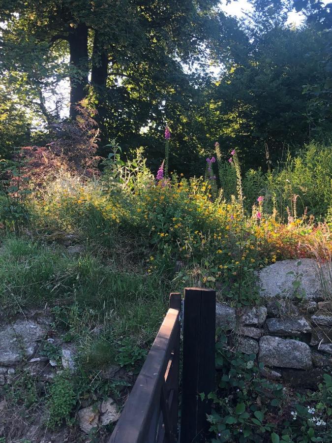 Corndonford Farm Bed and Breakfast Newton Abbot Εξωτερικό φωτογραφία