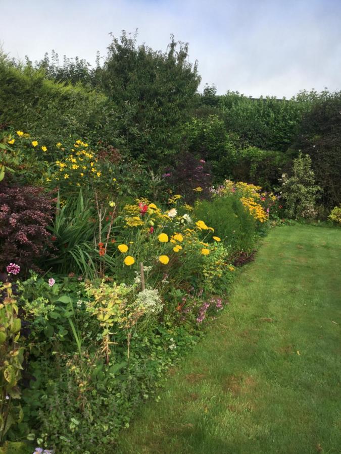 Corndonford Farm Bed and Breakfast Newton Abbot Εξωτερικό φωτογραφία