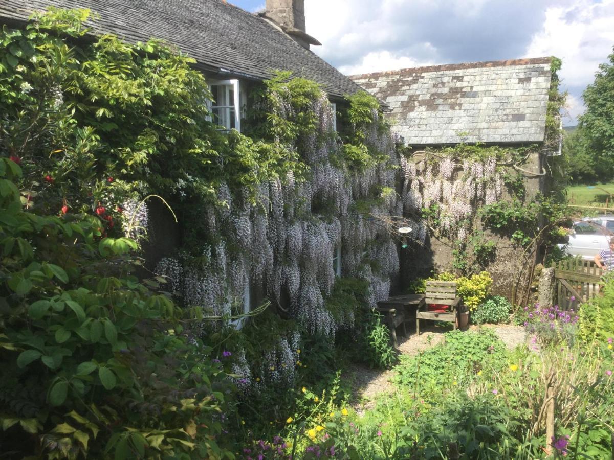 Corndonford Farm Bed and Breakfast Newton Abbot Εξωτερικό φωτογραφία